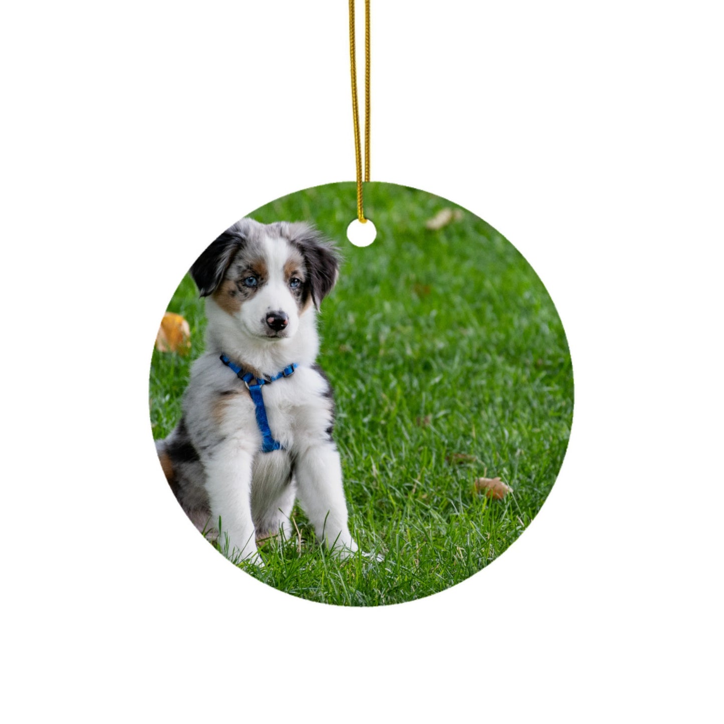 Custom Ceramic Ornaments